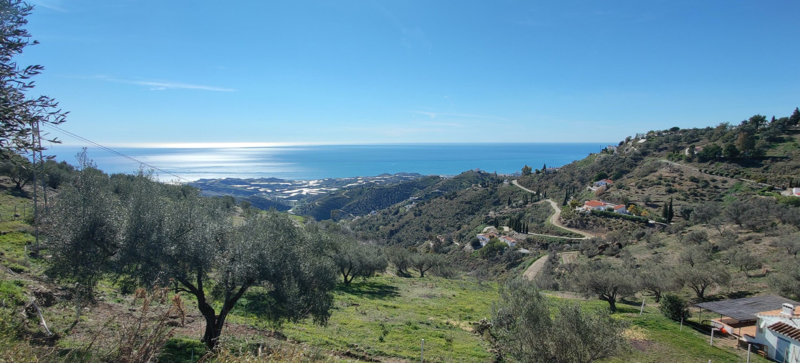 View from Campo Agave